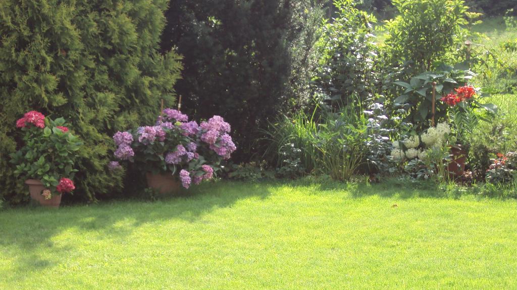 As Gosciniec Apartman Mikołajki Kültér fotó